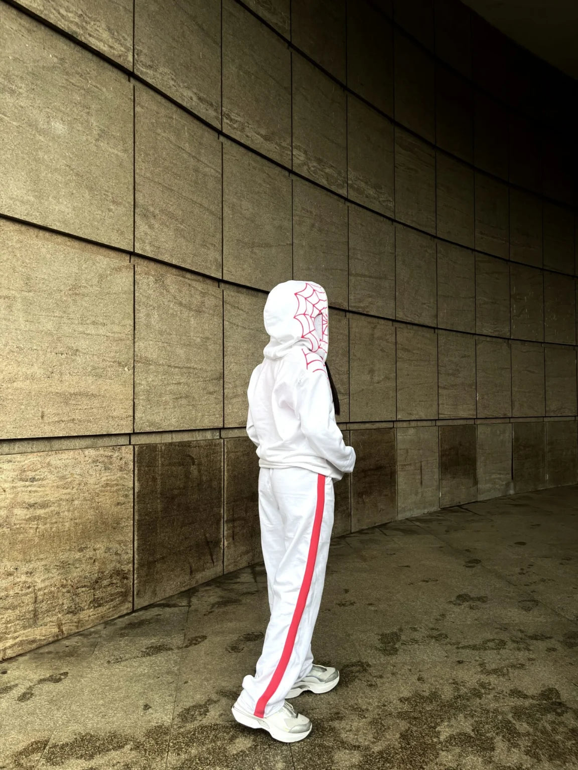 Side and Back View of Y2K Spider Web Hoodie Showing Red Web Detailing on Hood
